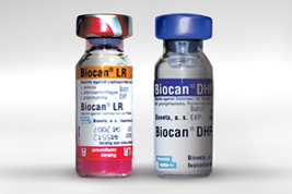 Biocan® DHPPi+LR