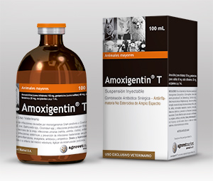 Amoxigentin® T 