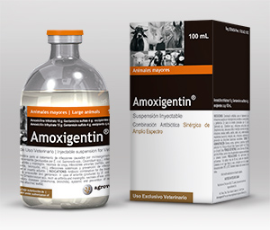  Amoxigentin®