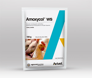 Amoxycol® WS 