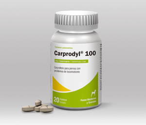 Carprodyl® 100 