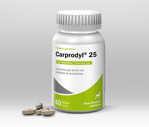 Carprodyl® 25 
