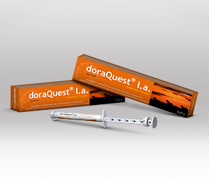 doraQuest® L.A. 