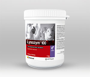Lysozym® 100  