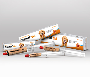 Oxantel® Gel 