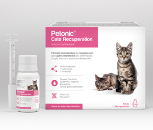 Petonic Cats Recuperation 