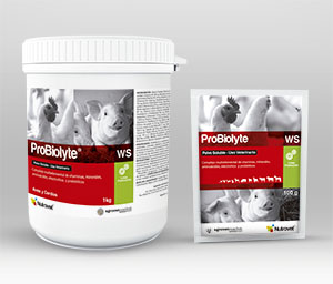 Probiolyte® WS 