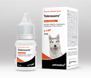 Tobrasone® 