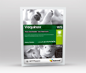 Vequinax WS 
