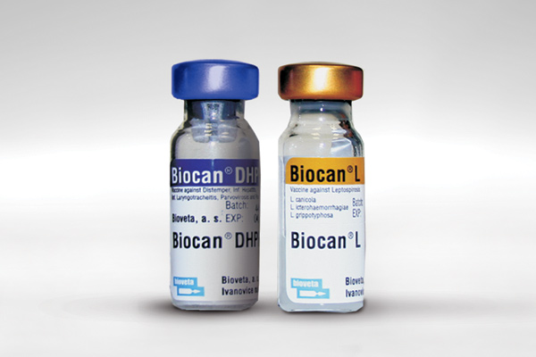 Биокан вакцина страна. Биокан DHPPI+L. Биокан DHPPI+LR. Биокан лепто. Биокан DHPPI+LR 10*1доза.